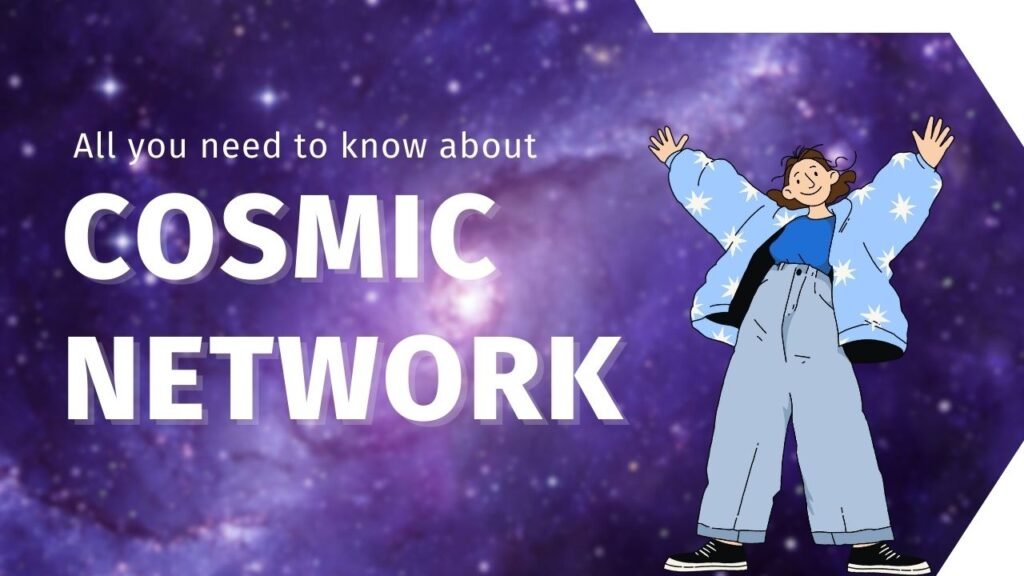 cosmic network